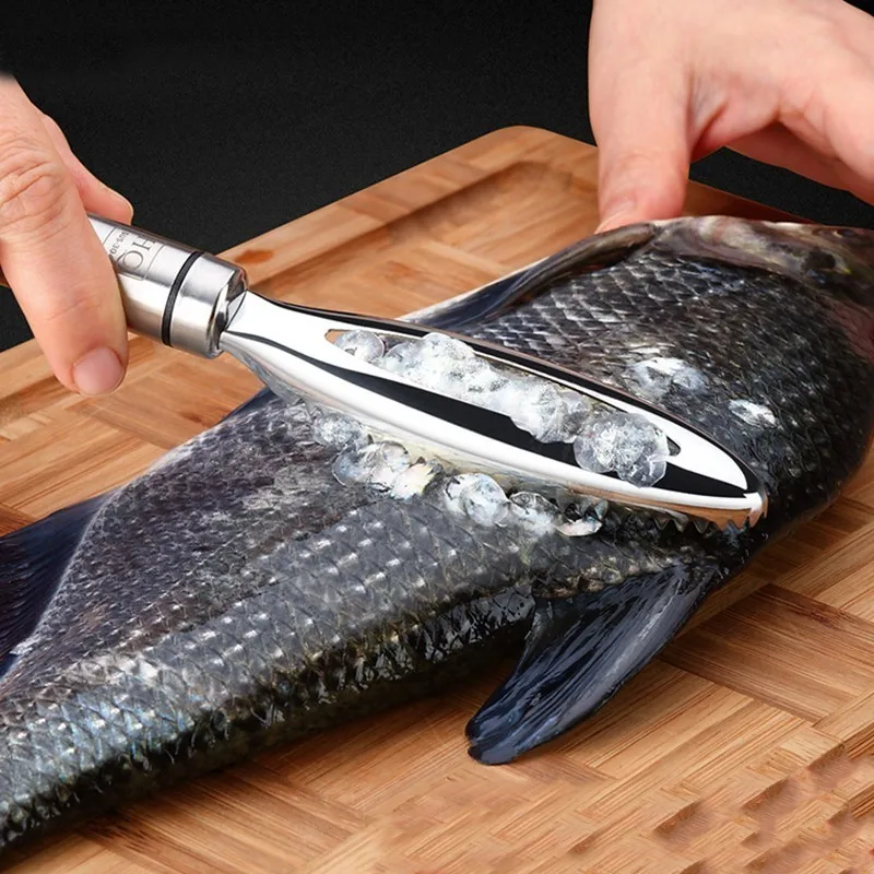 Edelstahl Fischschuppen Schaben Reiben