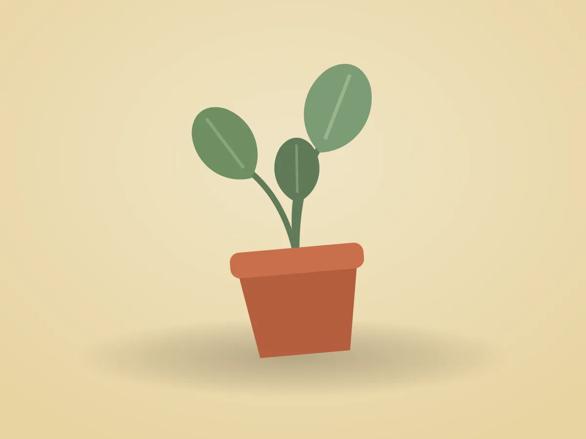 Monstera deliciosa + pot terre cuite — photo 2 sur 2